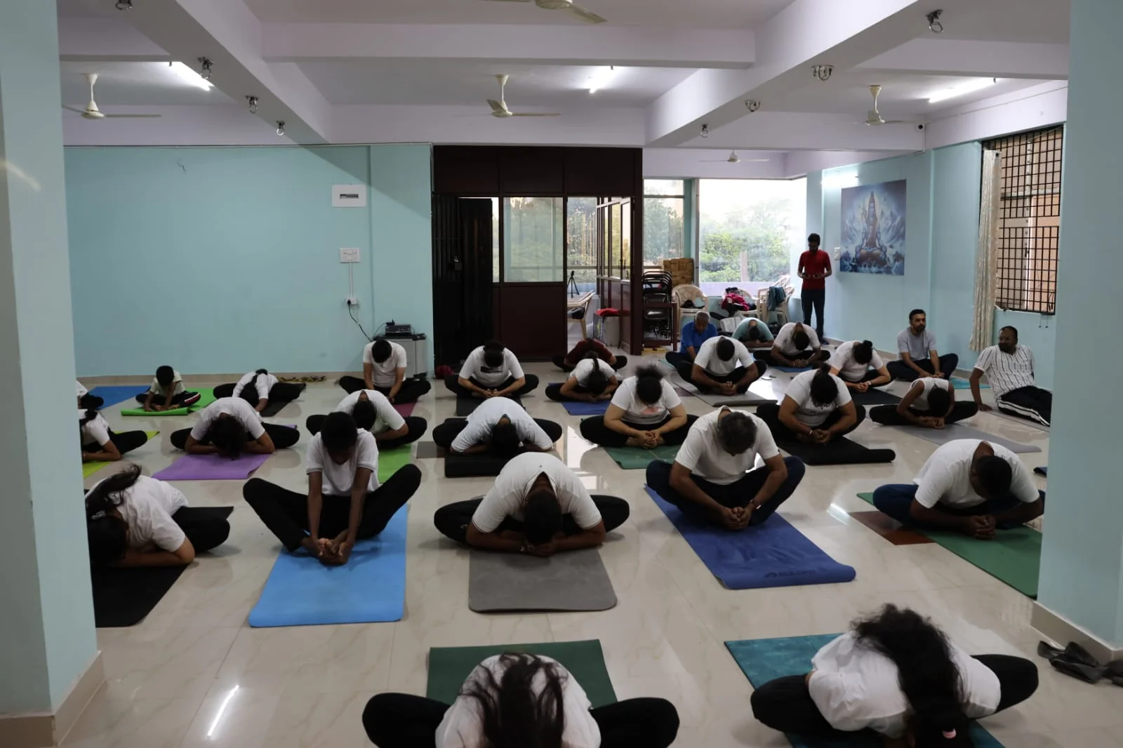 A wide shot of a full class in butterfly-fold, natural light filling the room
